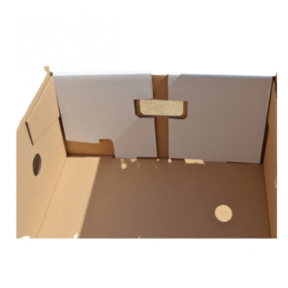 Meat Transportation Box  - Ventilation holes - 600 x 400 x 200 mm- PAL 440 Boxes Burdis
