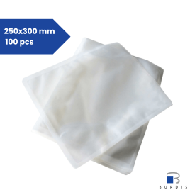 Bag of 100 Vacuum packaging bags 250x300 - 90 mµ