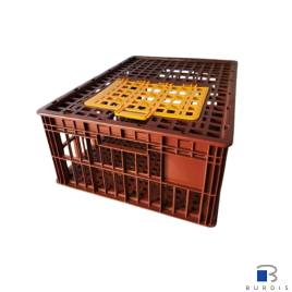 300800 Poultry crate - 1 door