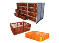 Poultry transport container