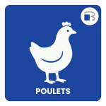 poulet