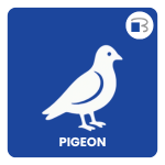 pigeon