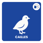 caille