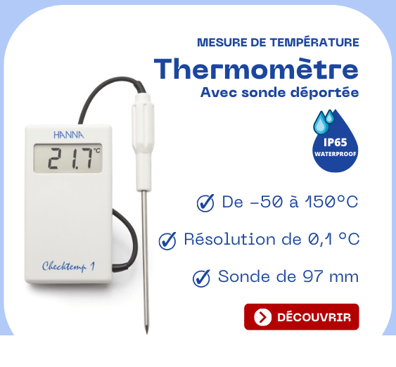 Thermomètre sonde déportée burdis